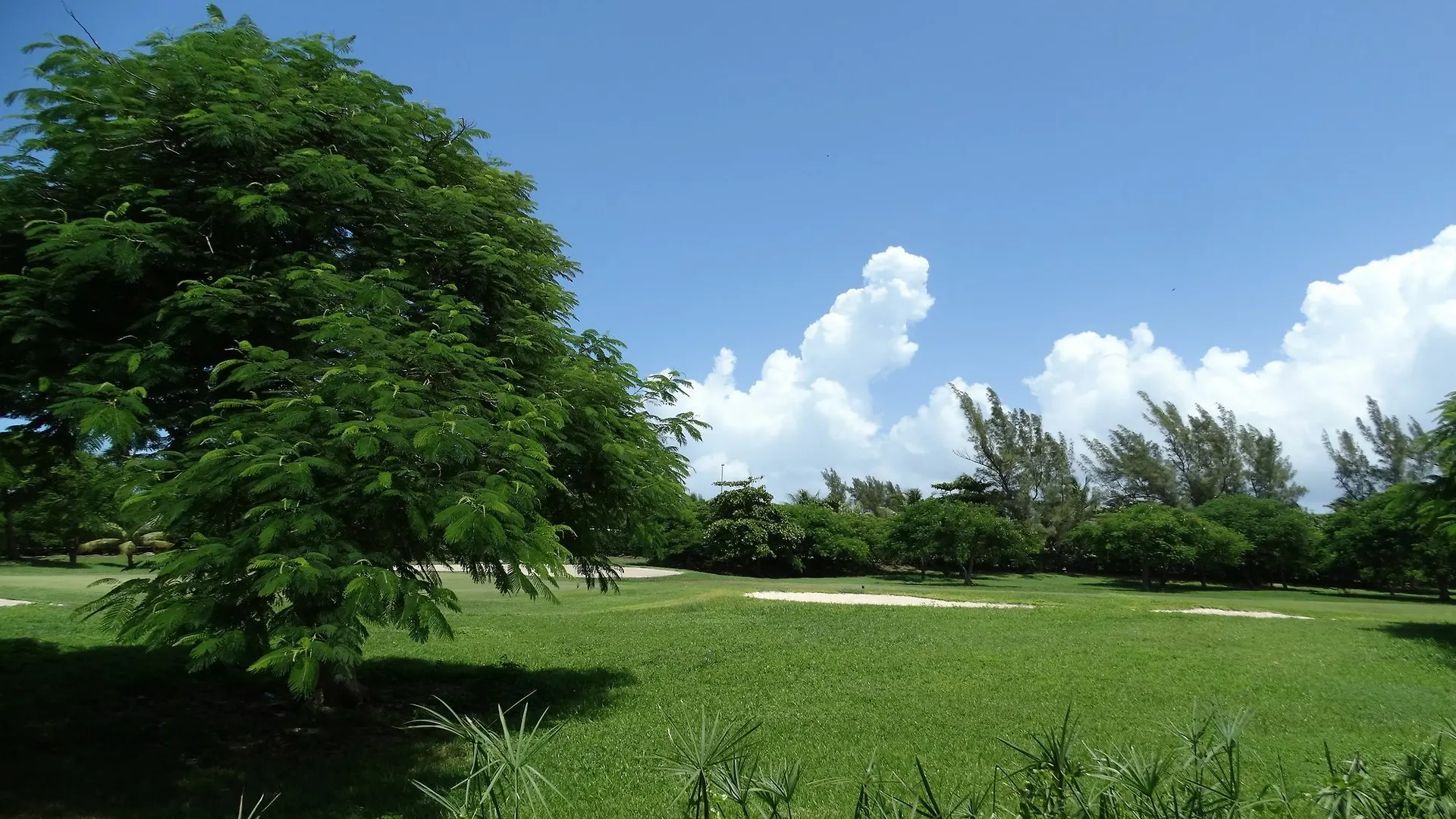 Apartament Sole By Andiani Cancún